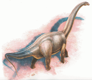 Haplocanthosaurus