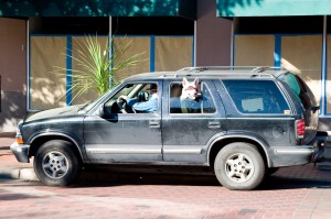 OregonMove_101206_001
