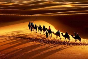desert04