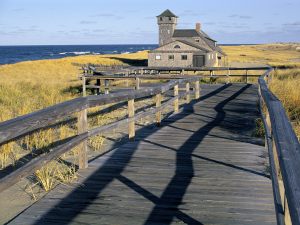 seashore07